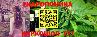 apvp Гусь-Хрустальный