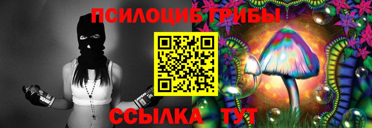 Псилоцибиновые грибы мицелий  закладка  Заречный  Вход с VPN 
